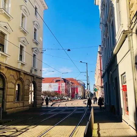 Joy Libertatii 9mai 7 Temesvár