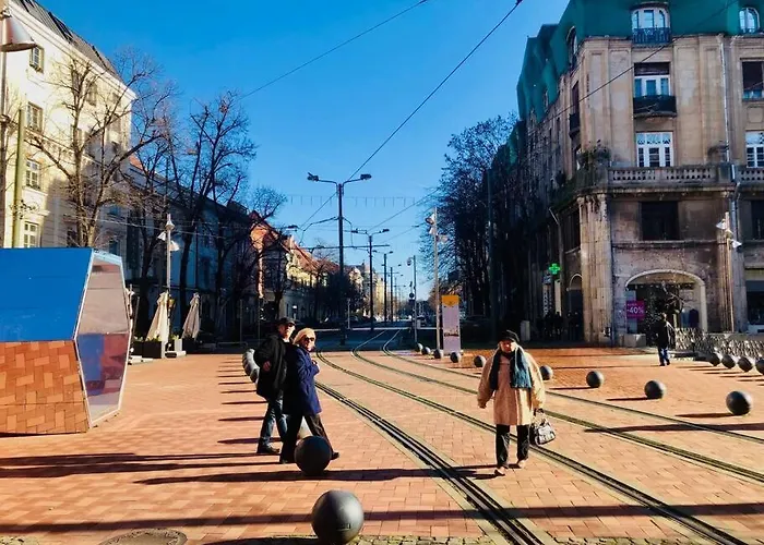 Joy Libertatii 9mai 7 דירה טימישוארה