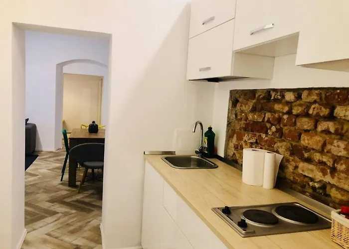 Joy Libertatii 9mai 7 טימישוארה