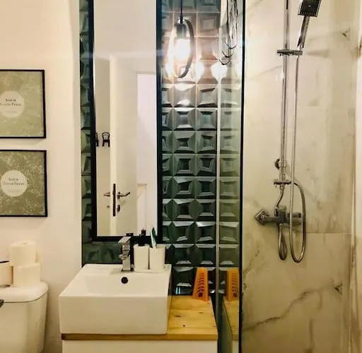 Joy Libertatii 9mai 7 * טימישוארה