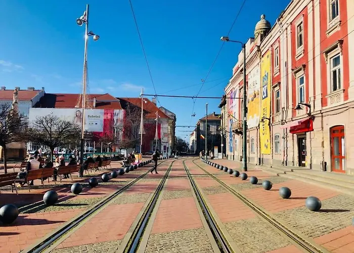 Joy Libertatii 9mai 7 טימישוארה