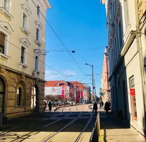 Joy Libertatii 9mai 7 טימישוארה