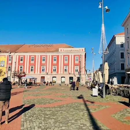 Joy Libertatii 9mai 7 *